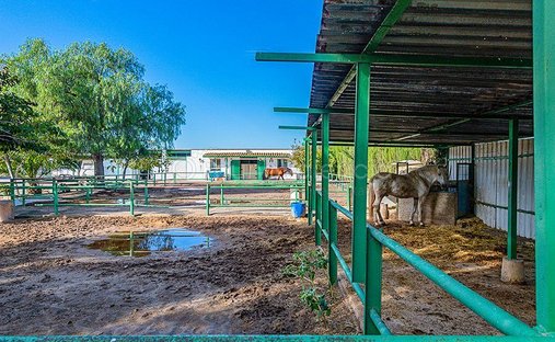 Villa in Sagunt, Land Valencia, Spanien 1