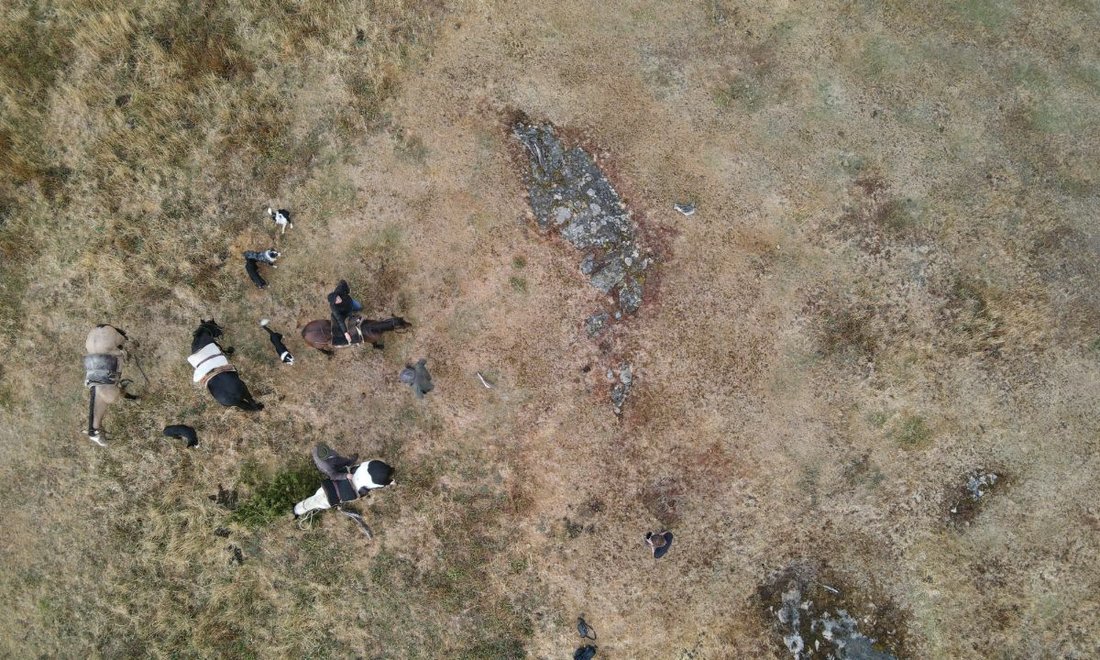 California Valley, Land Trust In Patagonia, Chile In Palena, Los Lagos