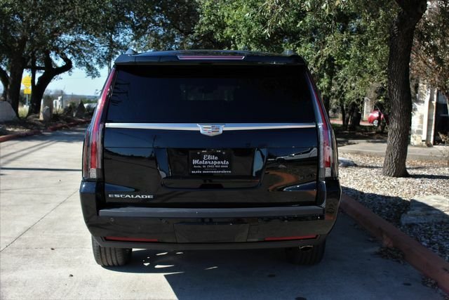 Suv in Austin 4 - 11740802