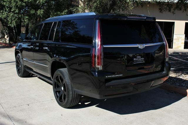 Suv in Austin 3 - 11740802