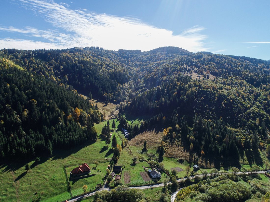 Harghita, Harghita County, Romania 2 - 11742085