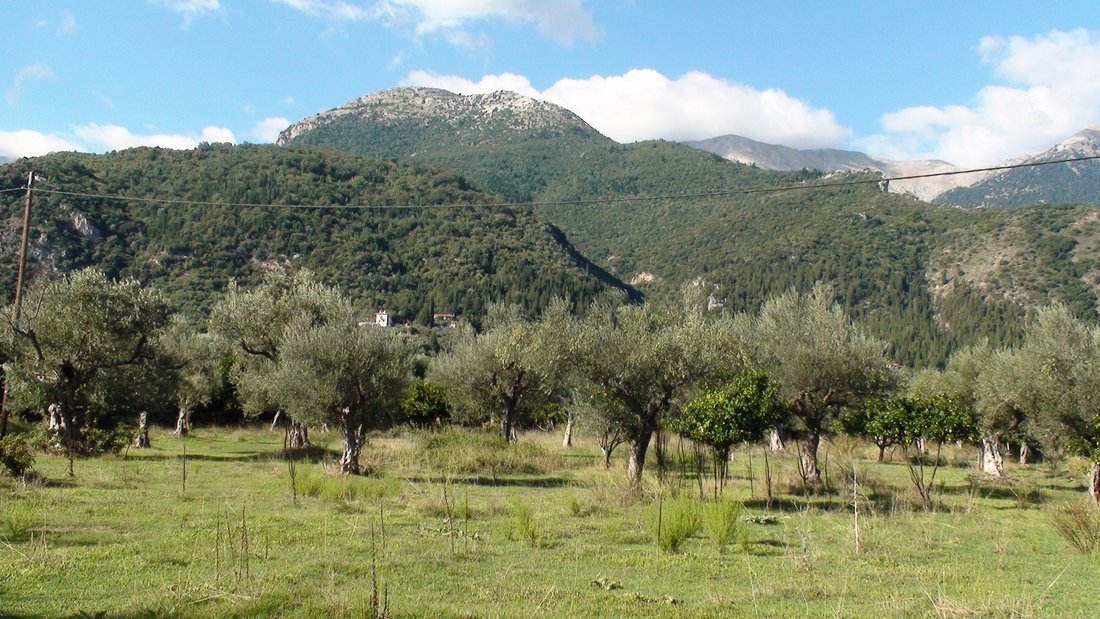 Terreno a Therapnes, Peloponnese, Western Greece and the Ionian, Grecia 5 - 11748351