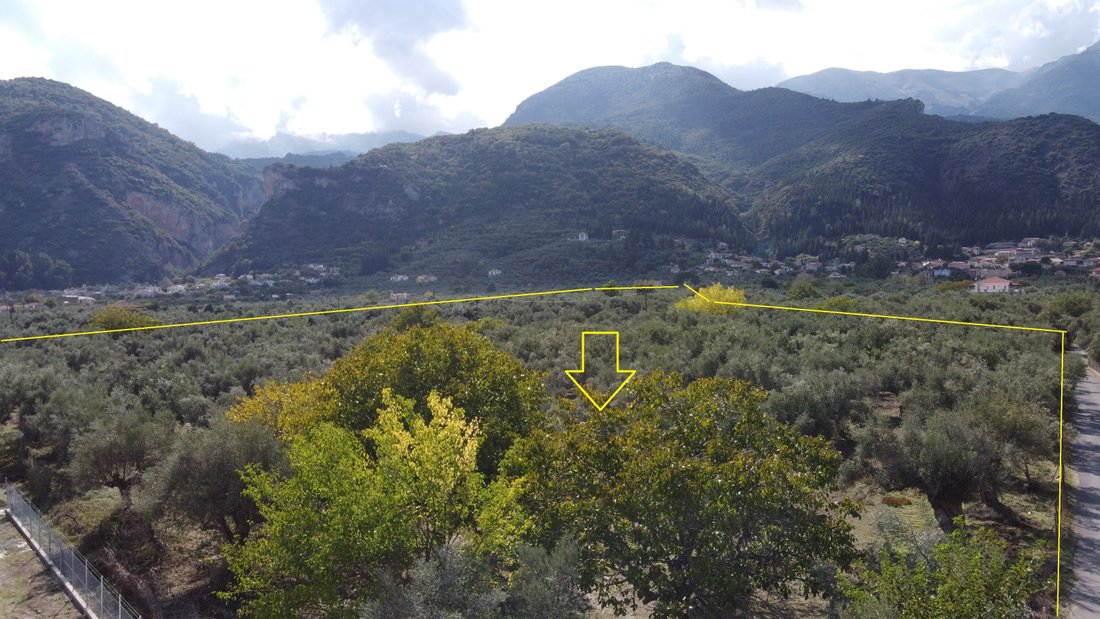 Terreno a Therapnes, Peloponnese, Western Greece and the Ionian, Grecia 4 - 11748351