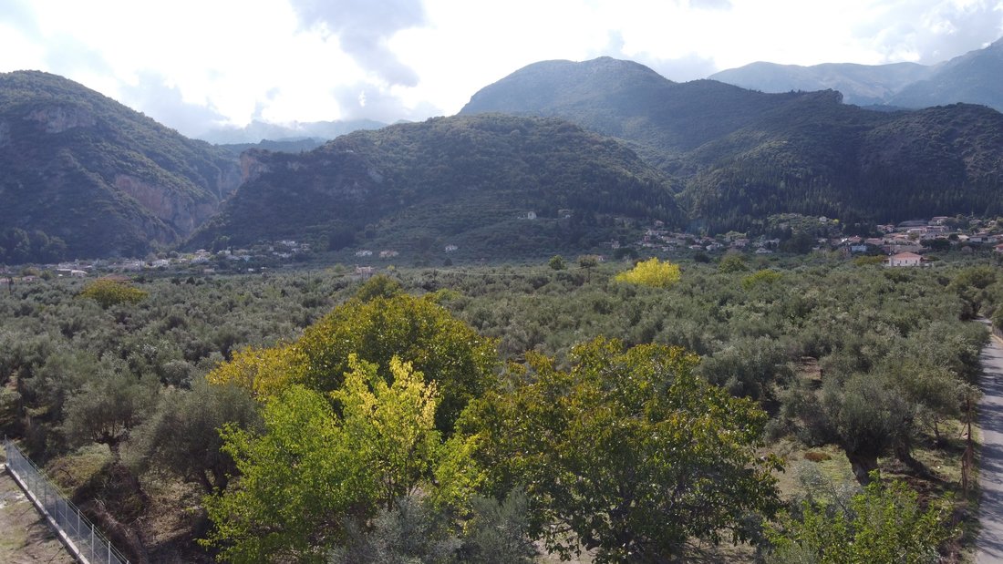 Terreno a Therapnes, Peloponnese, Western Greece and the Ionian, Grecia 3 - 11748351