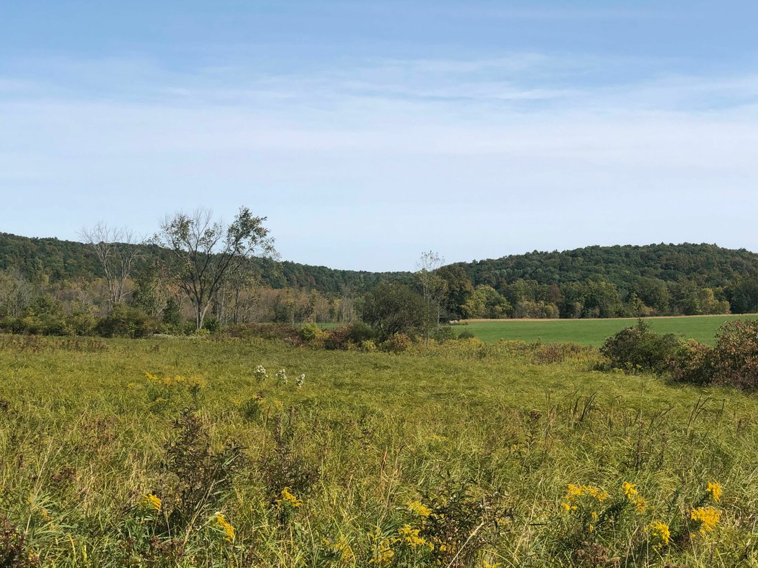 Land in Whitehall, New York, United States 4 - 11753817