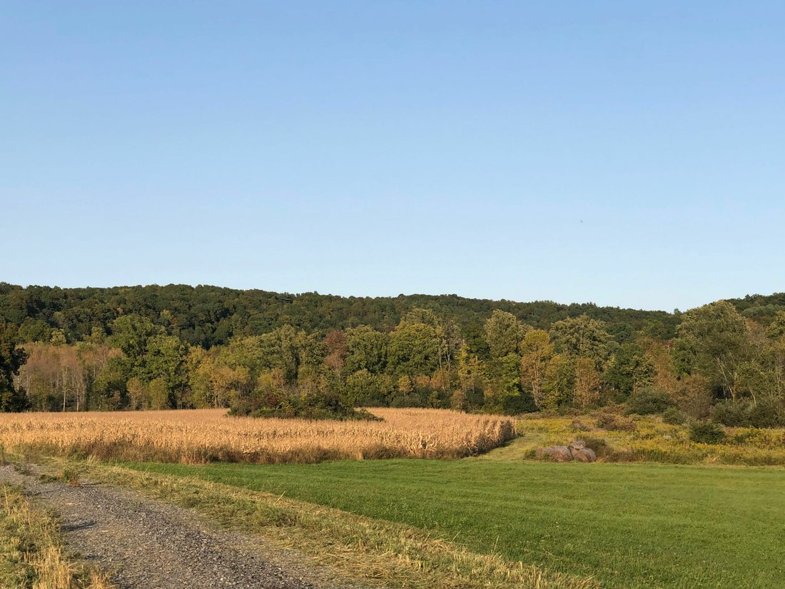 Land in Whitehall, New York, United States 1 - 11753817