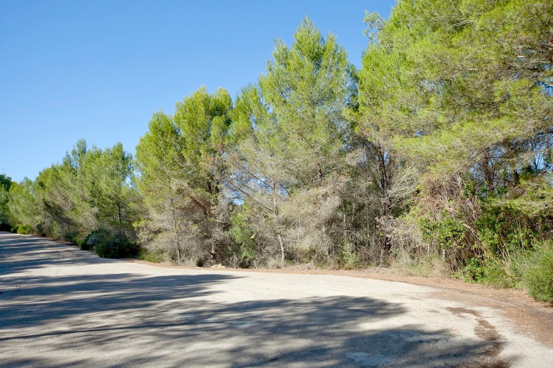 Land in Son Vida, Palma, Balearische Inseln 1 - 11754531