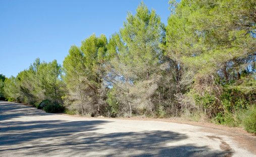 Terrain à Son Vida, Palma, Îles Baléares 1