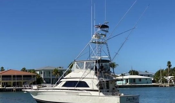 Bertram 50 Sport Fisherman (11755661)
