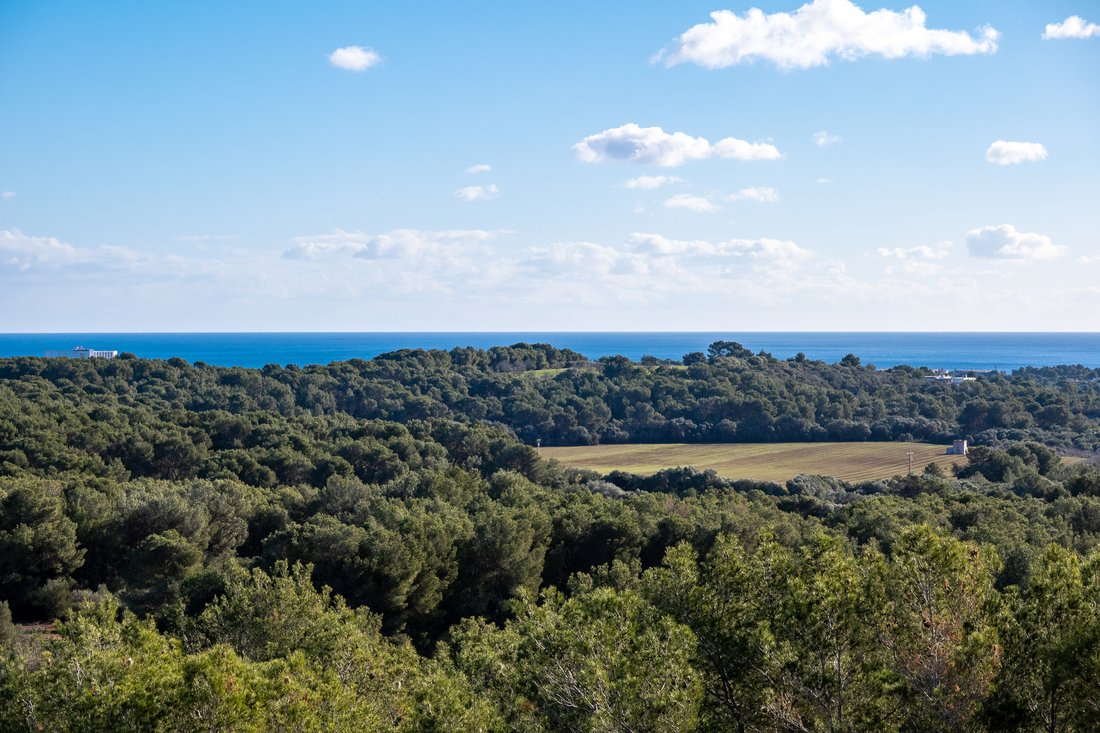 Finca in Manacor, Balearic Islands, Spain 4 - 11754923
