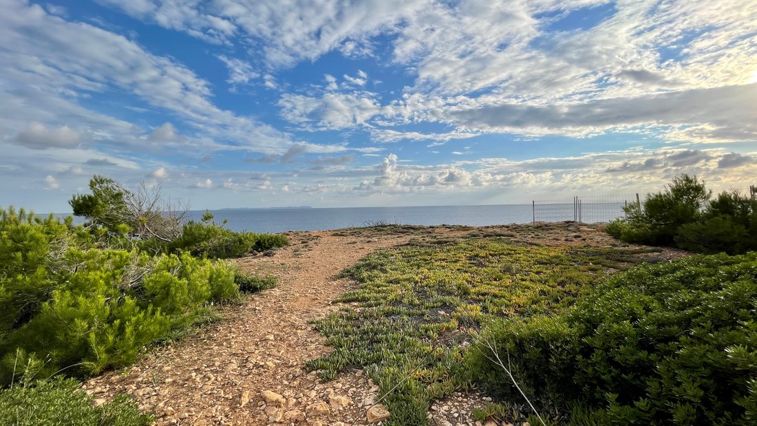 Terreno a Llucmajor, Isole Baleari, Spagna 3 - 11754000