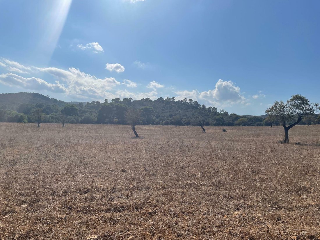 Land in Alcudia, Balearic Islands, Spain 4 - 11754375
