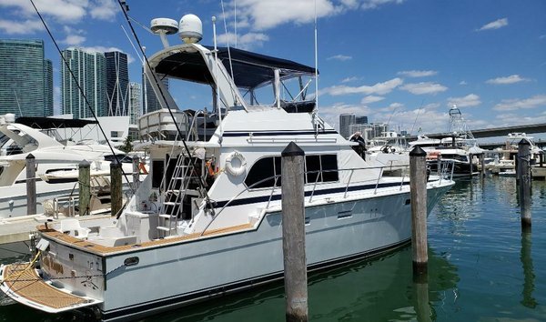 Hi-Star Sportfish (11755684)