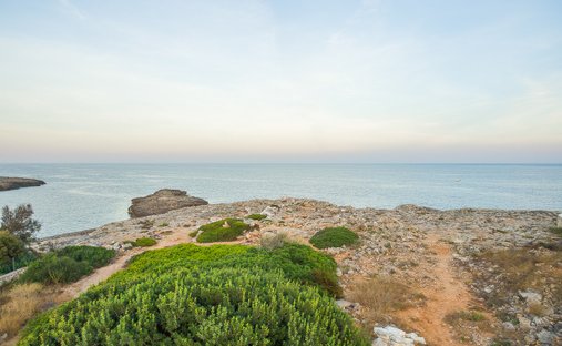 Land in Santanyi, Balearic Islands, Spain 1