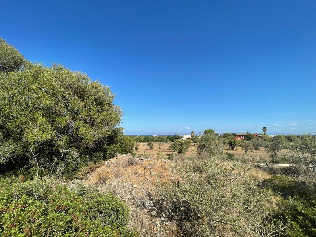 Land in Alcudia, Balearic Islands, Spain 5 - 11754375