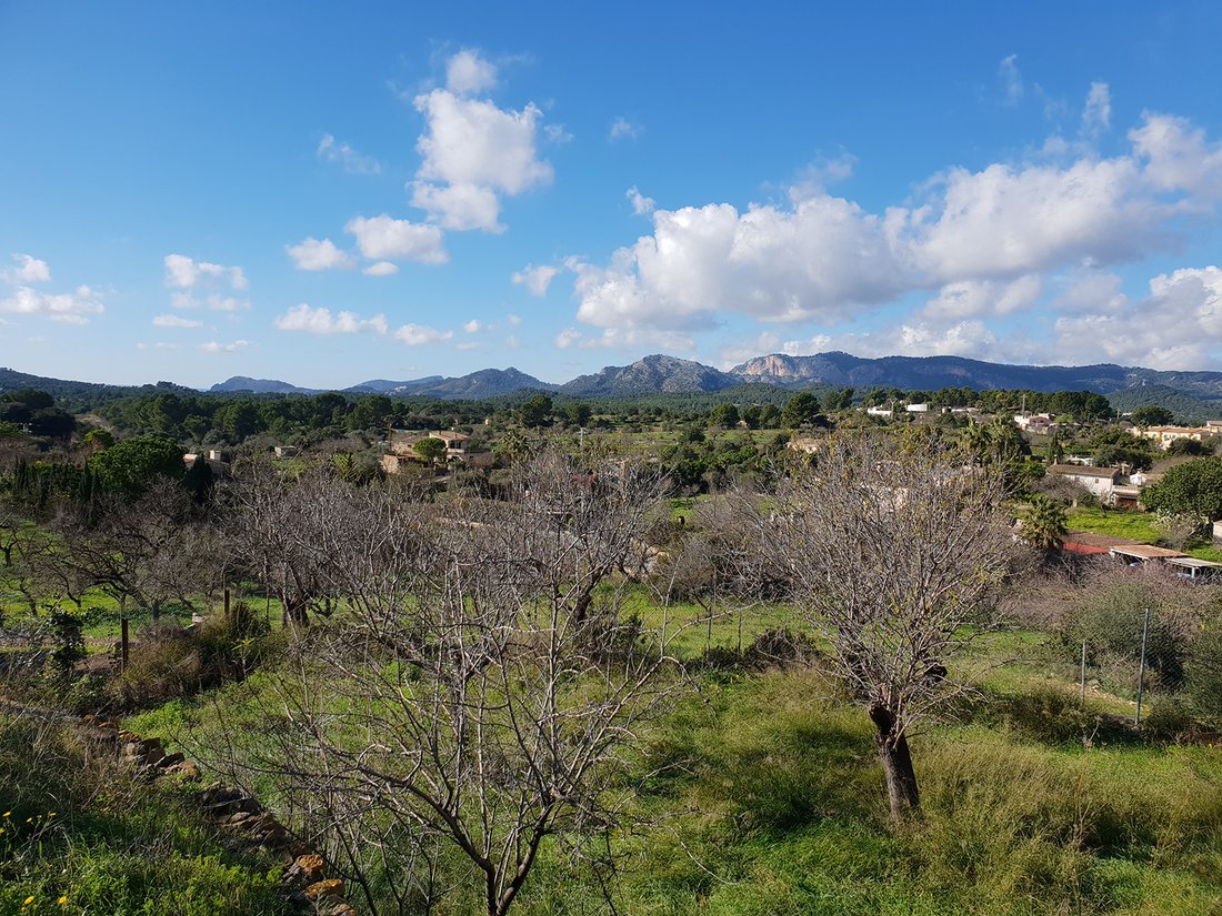 Calvià Village Land In Calvià, Balearic Islands, Spain For Sale (11754439)
