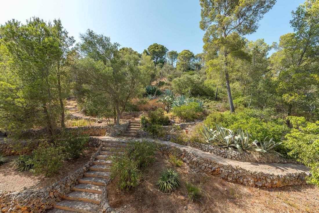 Finca in Palma, Balearic Islands, Spain 3 - 11754324