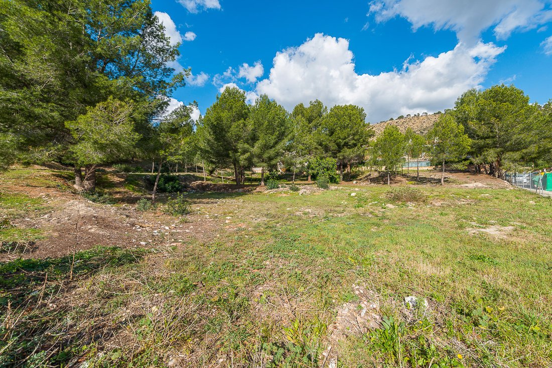 Paguera Land In Calvià, Balearic Islands, Spain For Sale (11754377)