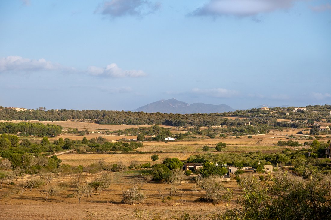 Finca in Montuiri, Balearic Islands, Spain 5 - 11754539