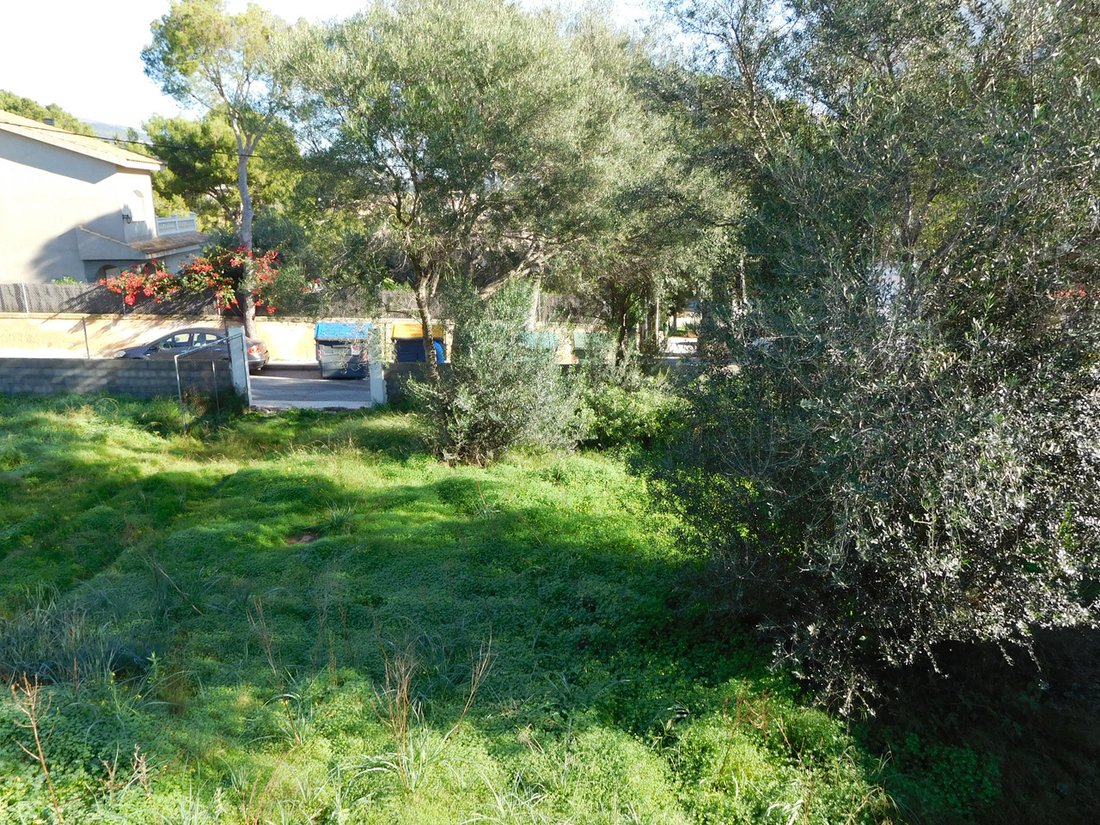 Land in Calvia, Balearic Islands, Spain 2 - 11754812