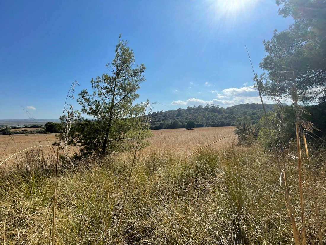 Land in Alcudia, Balearic Islands, Spain 2 - 11754375