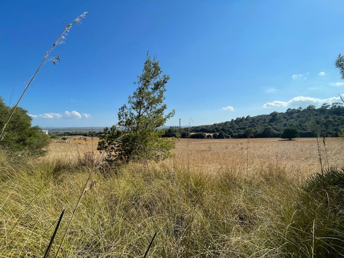 Land in Alcudia, Balearic Islands, Spain 3 - 11754375