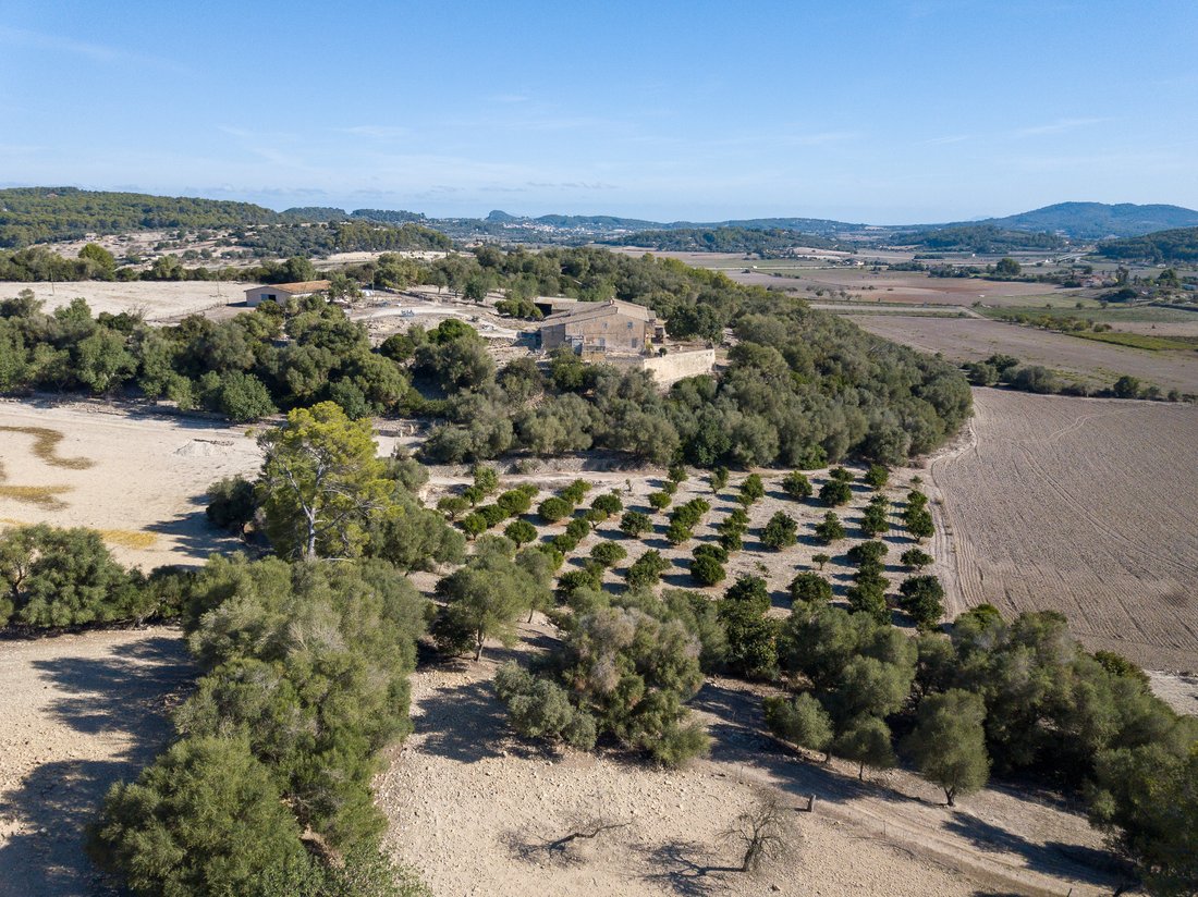 Finca in Montuiri, Balearic Islands, Spain 4 - 11754539