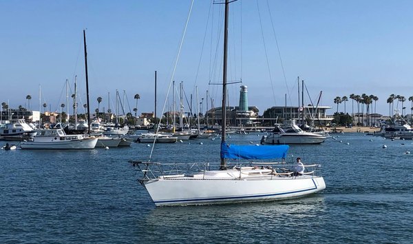 Wylie Sloop (11755189)