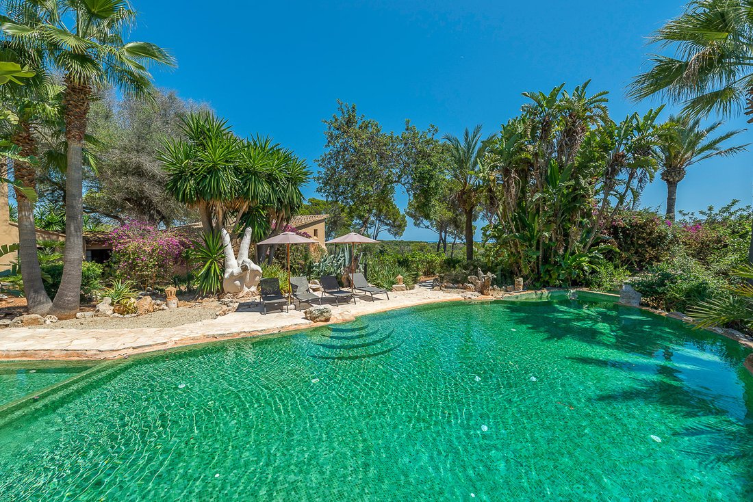 Finca in Santanyi, Balearic Islands, Spain 4 - 11754268