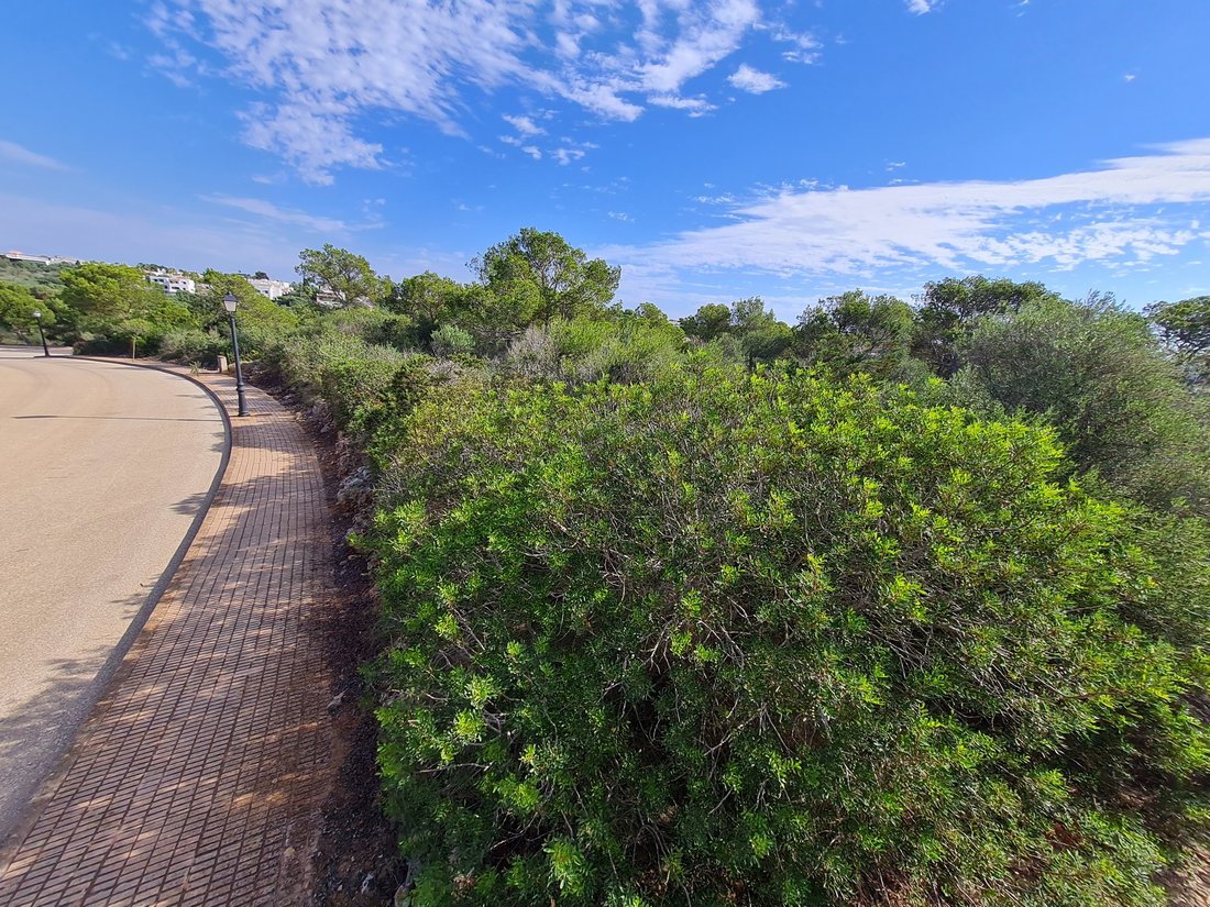 Terreno a Cala d'Or, Santanyí, Isole Baleari 5 - 11754019