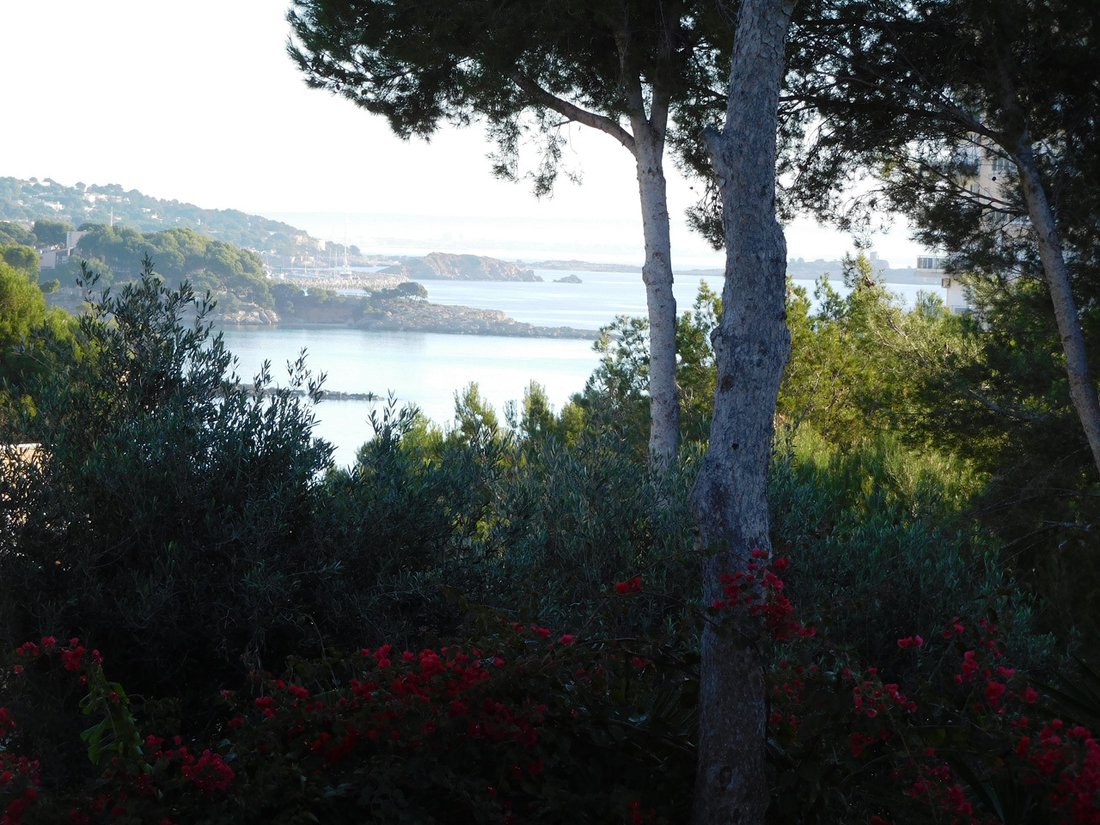 Land in Calvia, Balearic Islands, Spain 1 - 11754812