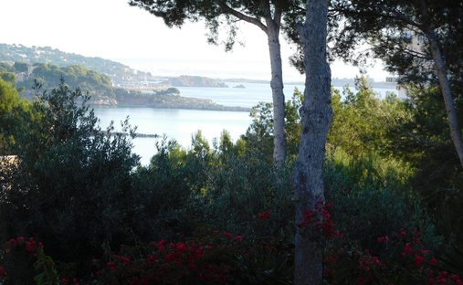 Land in Calvia, Balearic Islands, Spain 1