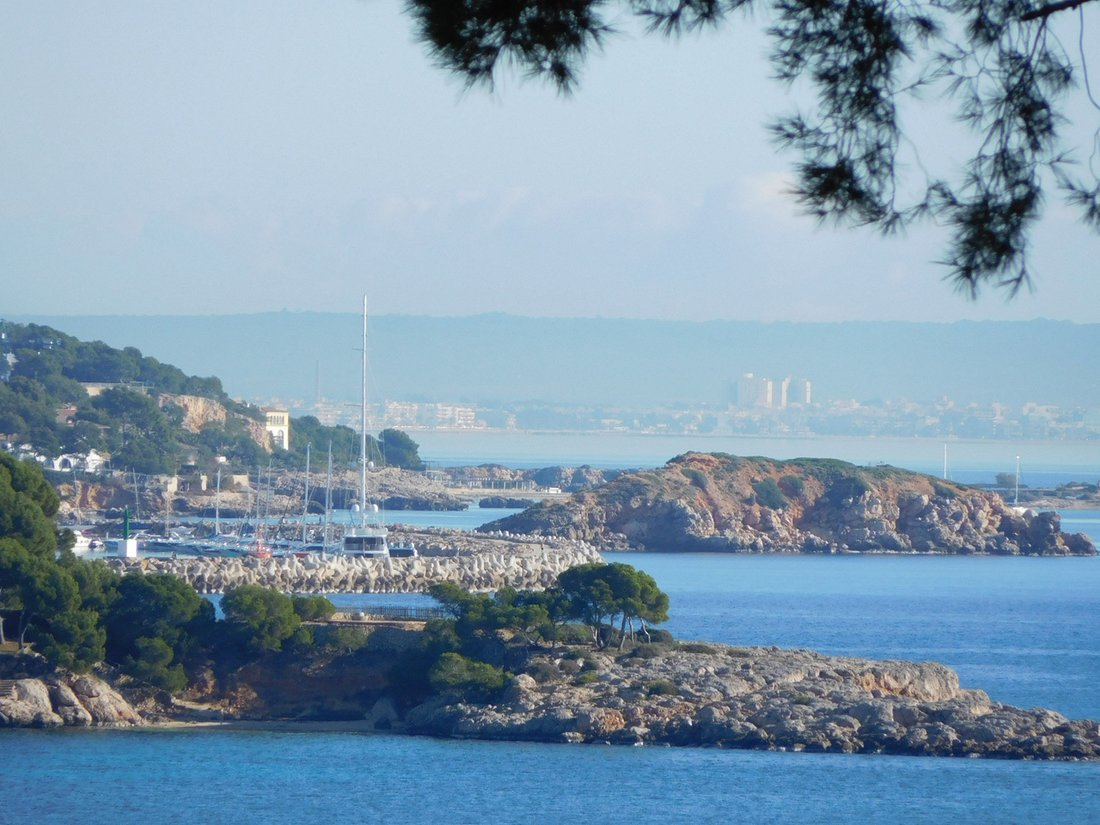 Land in Calvia, Balearic Islands, Spain 5 - 11754812