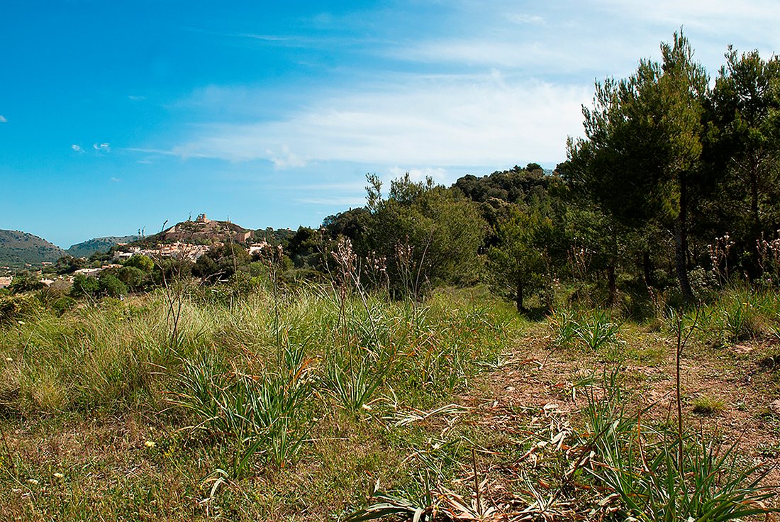 Terreno a Capdepera, Isole Baleari, Spagna 2 - 11754466
