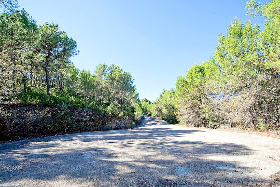 Land in Son Vida, Palma, Balearische Inseln 4 - 11754531