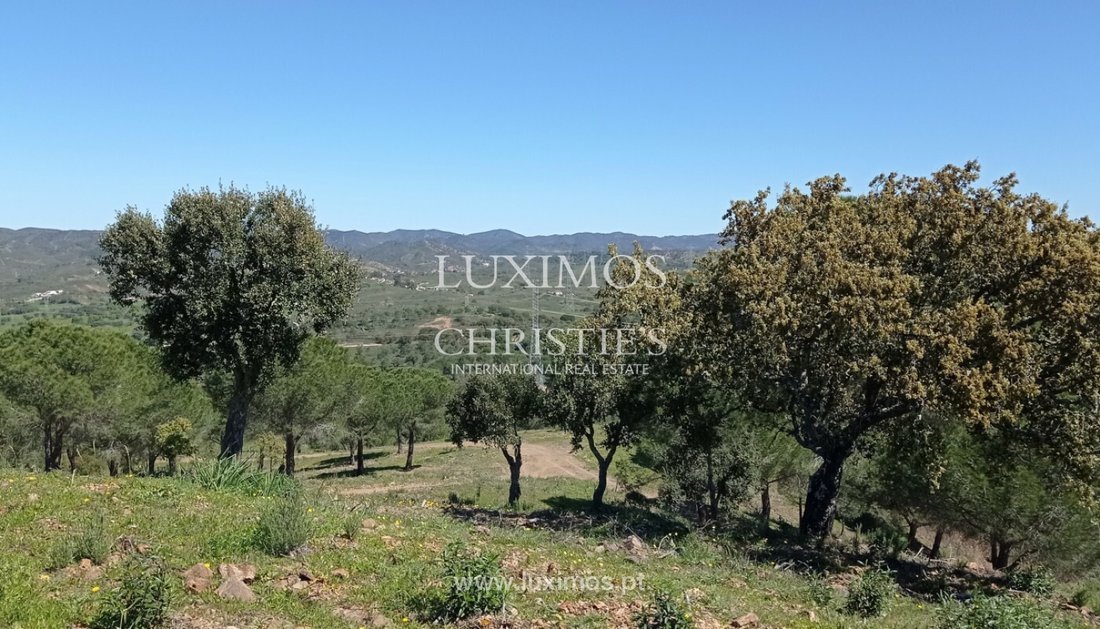 Land in Sao Bartolomeu de Messines, Algarve, Portugal 5 - 11757506