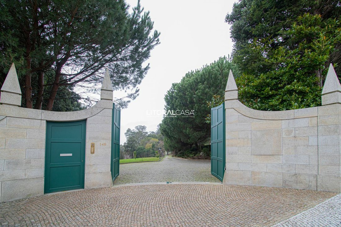 Farm Ranch in Oliveira de Azemeis, Santiago de Riba-Ul, Ul, Macinhata da Seixa e Madail, Aveiro District, Portugal 1 - 11764321