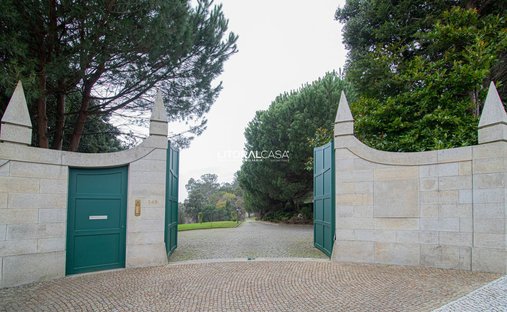 Azienda agricola a Oliveira de Azemeis, Santiago de Riba-Ul, Ul, Macinhata da Seixa e Madail, Distretto di Aveiro, Portogallo 1