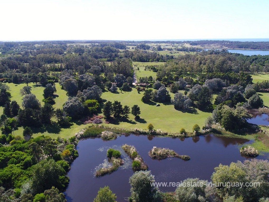 Fantastic 11 Ha Landscaped Land In In La Barra, Maldonado Department