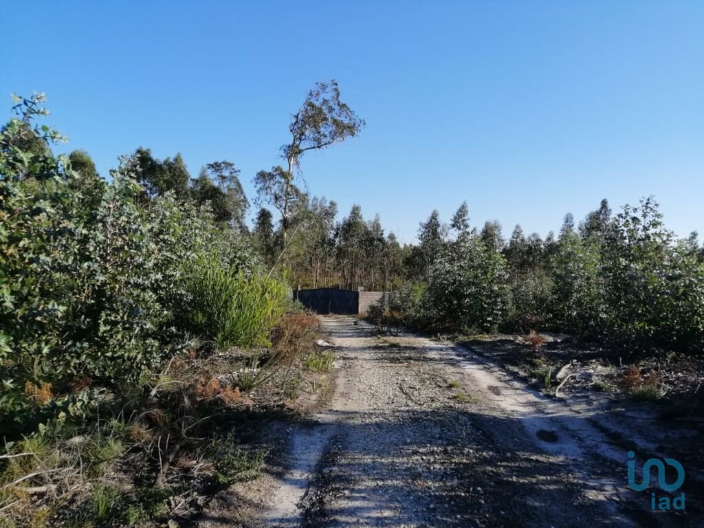 Leiria Land In Leiria District, Portugal For Sale (11767945)