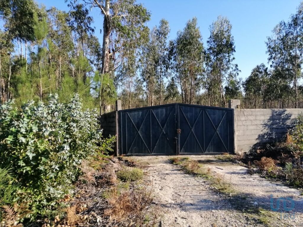 Leiria Land In Leiria District, Portugal For Sale (11767945)