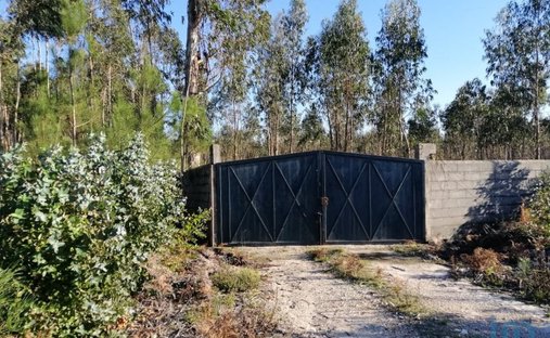 Land in Carvide, Leiria District, Portugal 1
