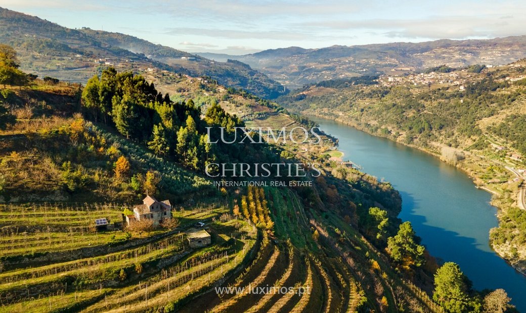 Vineyard In Douro Valley For Sale, In In Sever, Viseu District