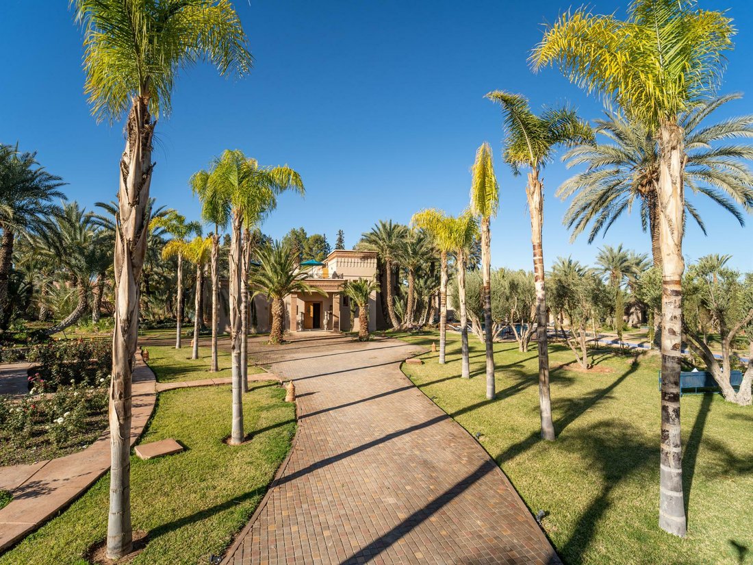 Marrakesh, Marrakesh-Safi, Morocco 3 - 11777371