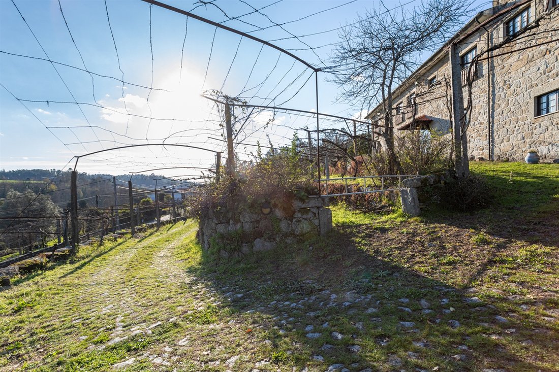Farm Ranch in Campo e Tamel (Sao Pedro Fins), Braga, Portugal 3 - 11778494
