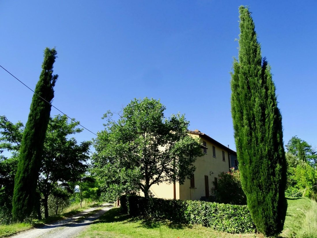 Farm Ranch in Palaia, Tuscany, Italy 1 - 11794763