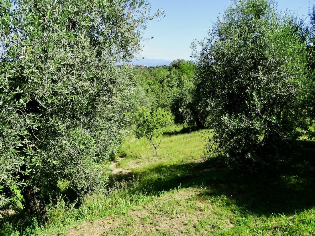 Farm Ranch in Palaia, Tuscany, Italy 4 - 11794763