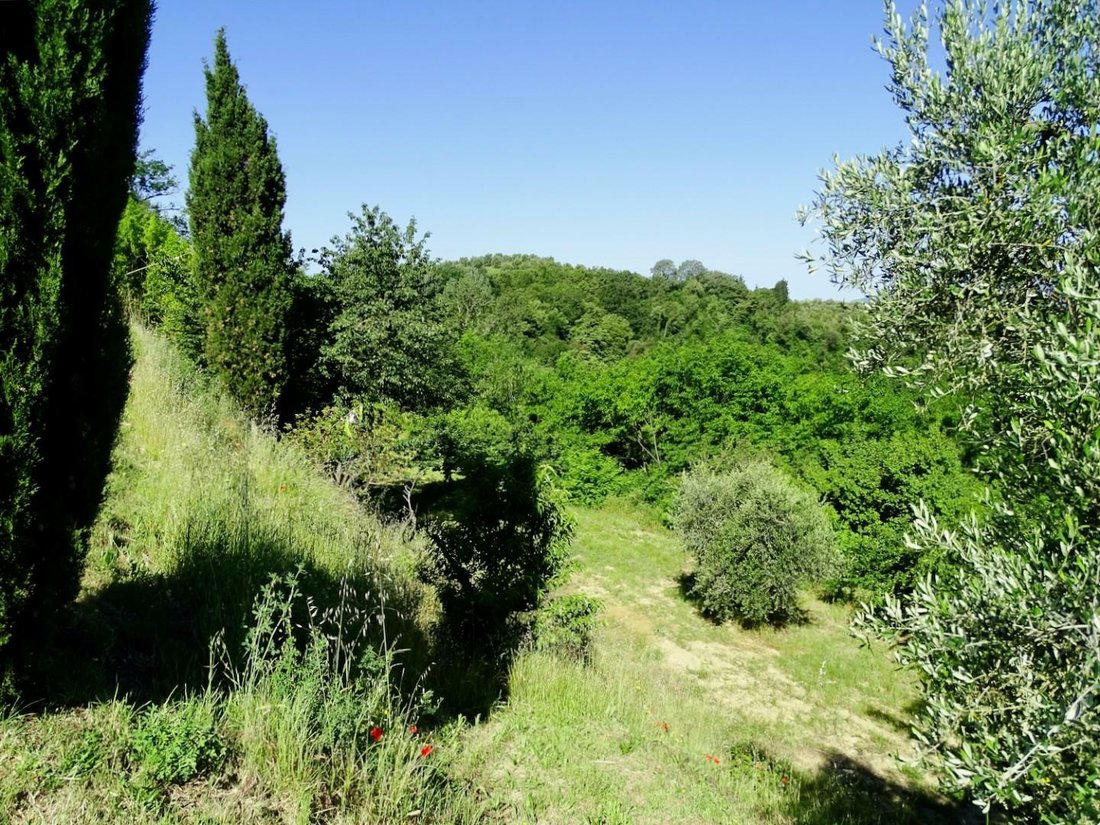 Farm Ranch in Palaia, Tuscany, Italy 3 - 11794763
