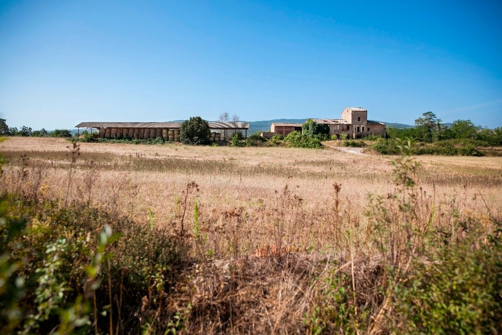 Farm Ranch in Casole d'Elsa, Tuscany, Italy 5 - 11794784