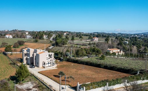 House in Oropos, Attica, Greece 1